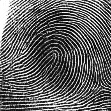 Candidate impression as it was at this step