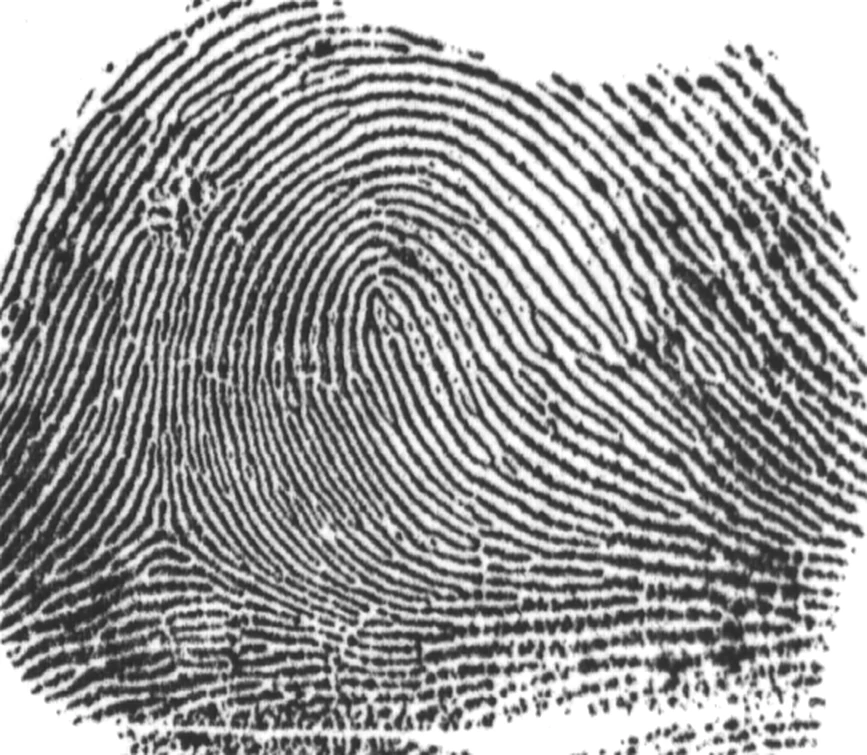 Fingerprint impression, the candidate